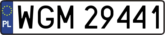 WGM29441