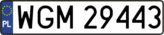 WGM29443