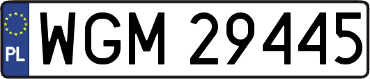 WGM29445