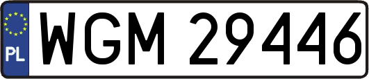 WGM29446