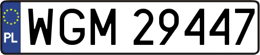 WGM29447