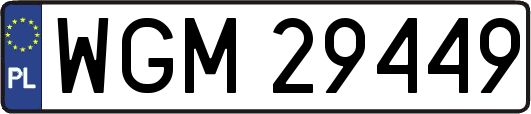 WGM29449