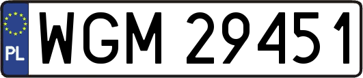 WGM29451