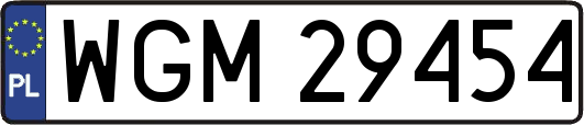WGM29454
