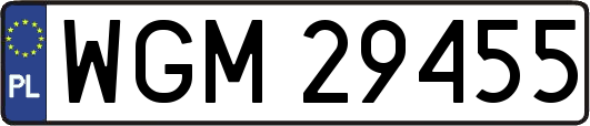 WGM29455