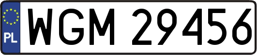 WGM29456