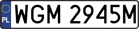 WGM2945M