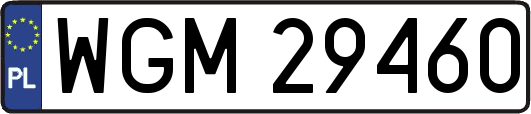 WGM29460