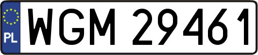 WGM29461