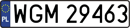 WGM29463
