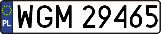 WGM29465