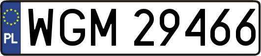 WGM29466