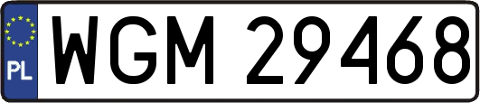 WGM29468