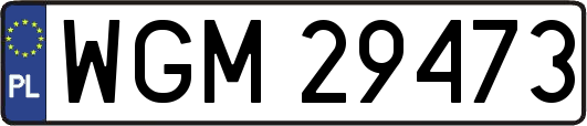 WGM29473