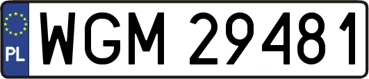 WGM29481