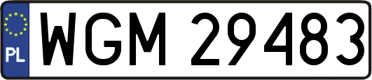 WGM29483