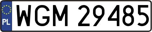 WGM29485