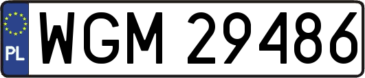 WGM29486