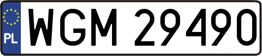 WGM29490