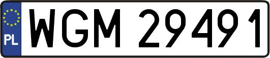 WGM29491
