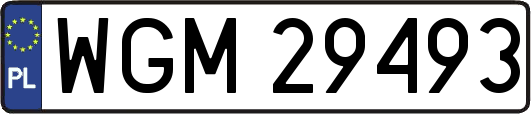 WGM29493