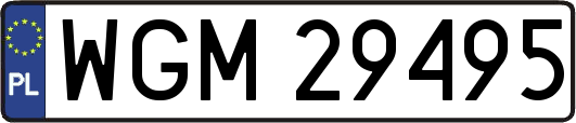 WGM29495