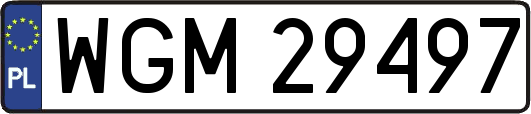 WGM29497
