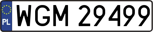 WGM29499