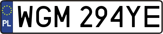 WGM294YE