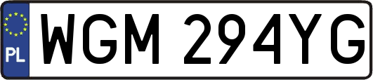 WGM294YG