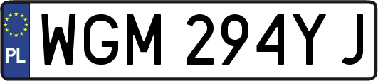WGM294YJ
