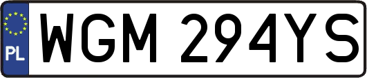 WGM294YS