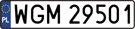WGM29501