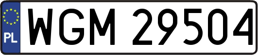 WGM29504