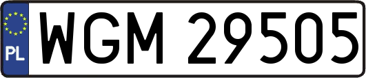 WGM29505