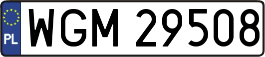 WGM29508