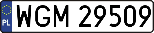 WGM29509