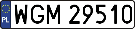WGM29510