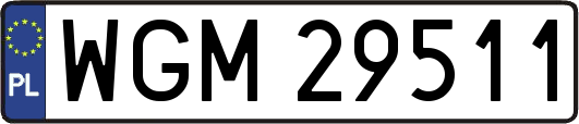 WGM29511