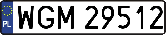 WGM29512