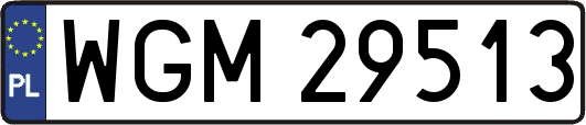 WGM29513