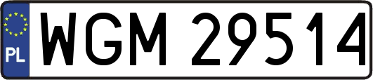 WGM29514