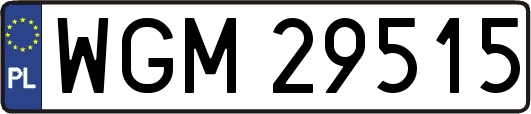 WGM29515