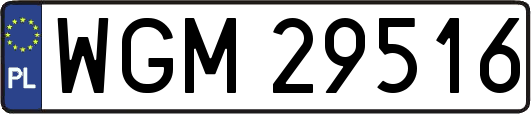WGM29516