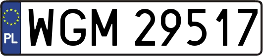 WGM29517
