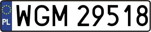 WGM29518