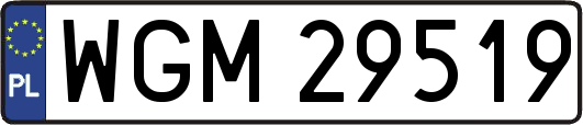 WGM29519