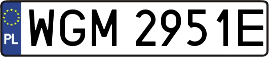 WGM2951E