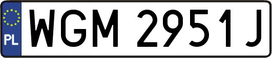 WGM2951J