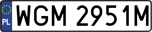 WGM2951M